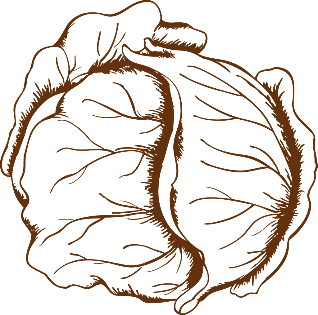 Takeout dumpling box with dumplings